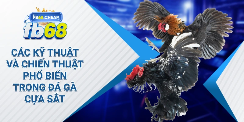 Các kỹ thuật và chiến thuật phổ biến trong đá gà cựa sắt