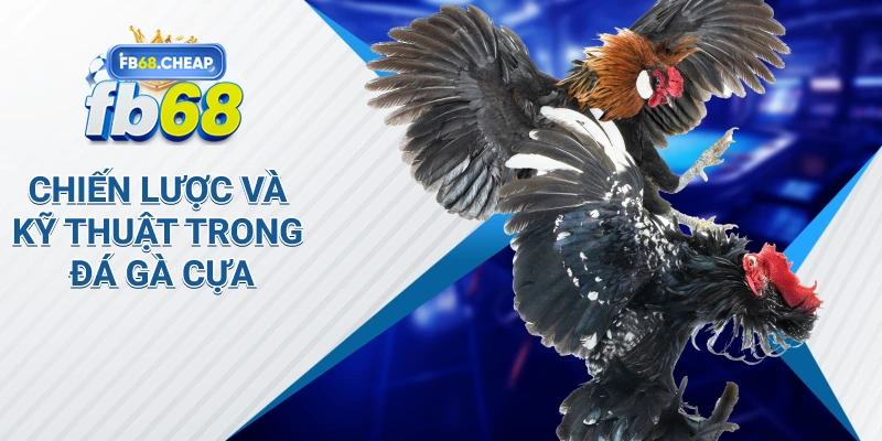Chiến lược và kỹ thuật trong đá gà cựa