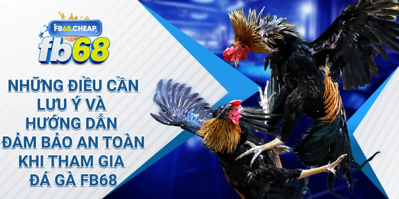 Những điều cần lưu ý và hướng dẫn đảm bảo an toàn khi tham gia đá gà Fb68