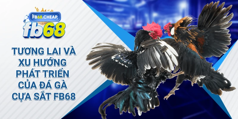 Tương lai và xu hướng phát triển của đá gà cựa sắt Fb68